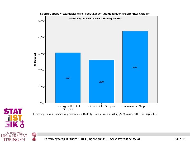 Forschungsprojekt Statistik 2013 „Jugend zählt“ – www. statistik-ev-bw. de Folie 45 