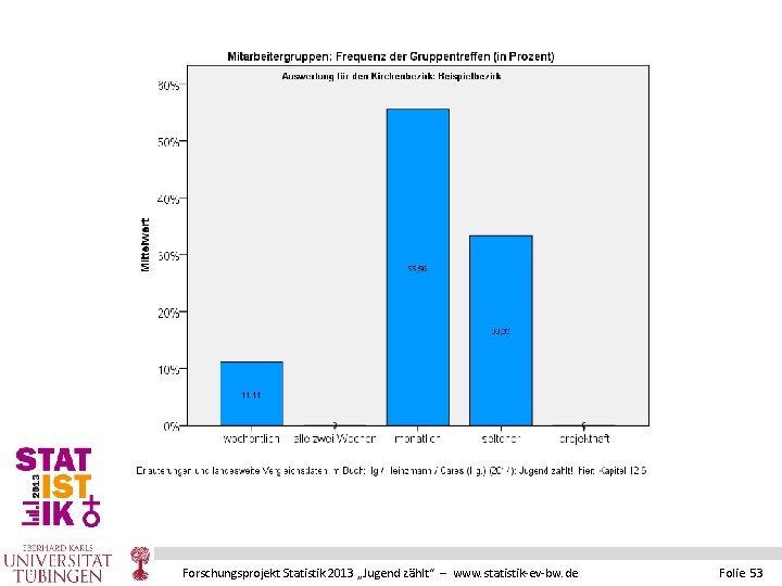 Forschungsprojekt Statistik 2013 „Jugend zählt“ – www. statistik-ev-bw. de Folie 53 