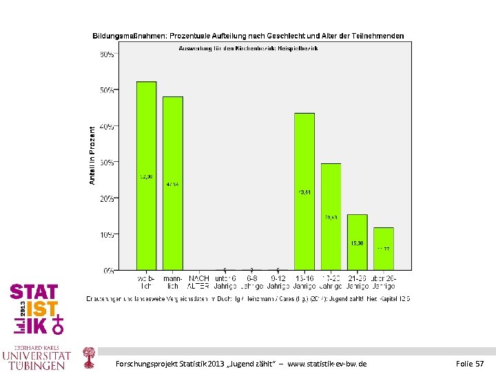 Forschungsprojekt Statistik 2013 „Jugend zählt“ – www. statistik-ev-bw. de Folie 57 