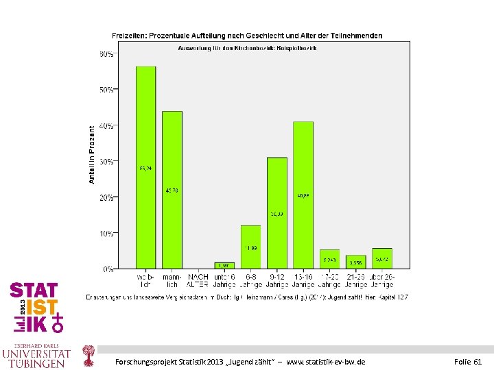 Forschungsprojekt Statistik 2013 „Jugend zählt“ – www. statistik-ev-bw. de Folie 61 