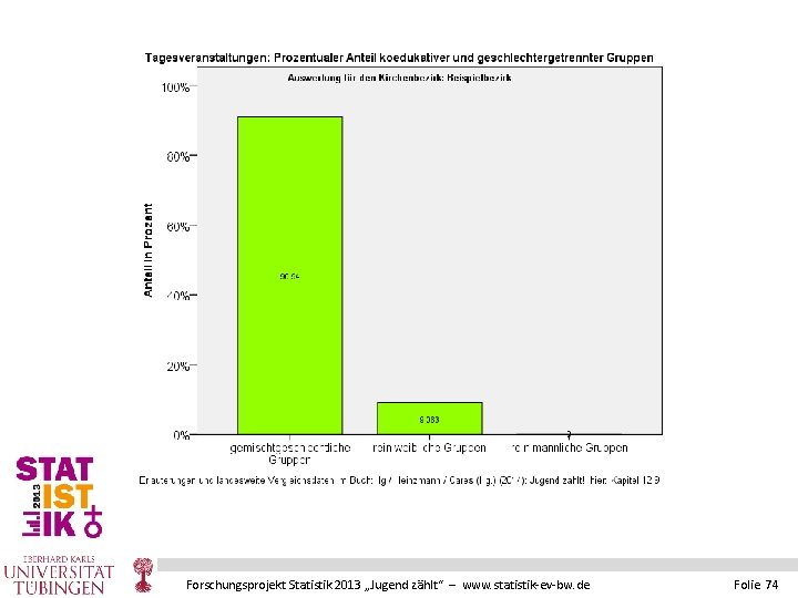 Forschungsprojekt Statistik 2013 „Jugend zählt“ – www. statistik-ev-bw. de Folie 74 