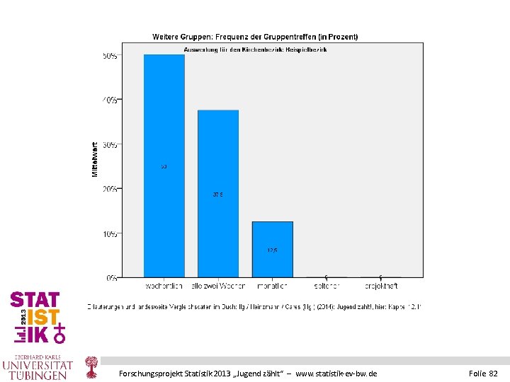 Forschungsprojekt Statistik 2013 „Jugend zählt“ – www. statistik-ev-bw. de Folie 82 