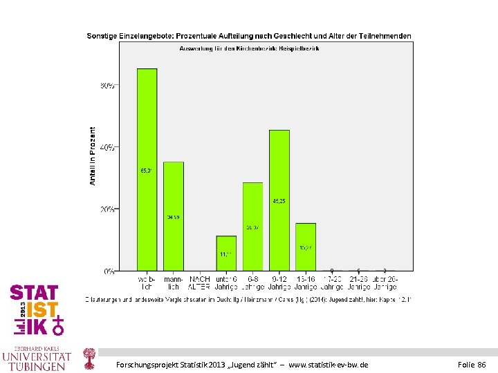 Forschungsprojekt Statistik 2013 „Jugend zählt“ – www. statistik-ev-bw. de Folie 86 