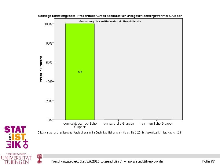 Forschungsprojekt Statistik 2013 „Jugend zählt“ – www. statistik-ev-bw. de Folie 87 