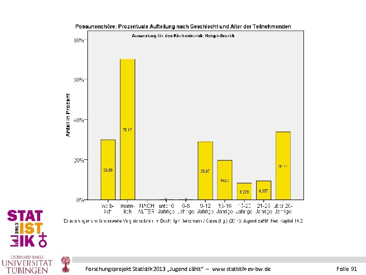 Forschungsprojekt Statistik 2013 „Jugend zählt“ – www. statistik-ev-bw. de Folie 91 