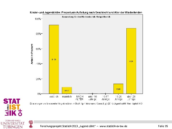 Forschungsprojekt Statistik 2013 „Jugend zählt“ – www. statistik-ev-bw. de Folie 95 