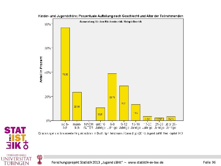 Forschungsprojekt Statistik 2013 „Jugend zählt“ – www. statistik-ev-bw. de Folie 96 