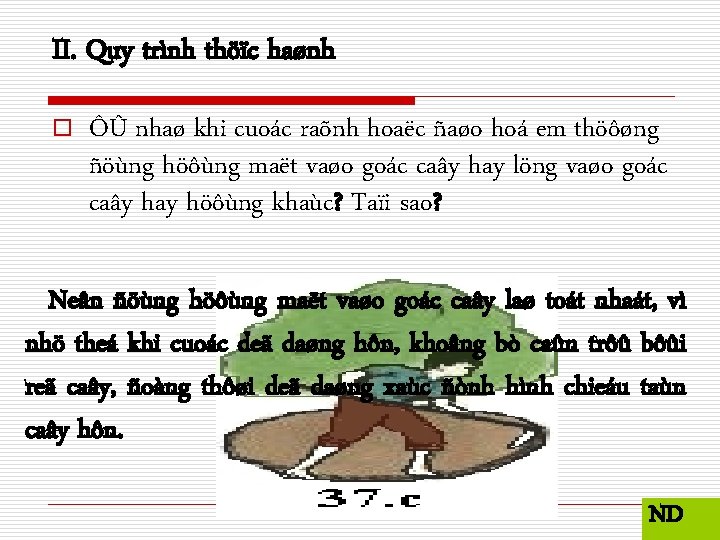 II. Quy trình thöïc haønh o ÔÛ nhaø khi cuoác raõnh hoaëc ñaøo hoá