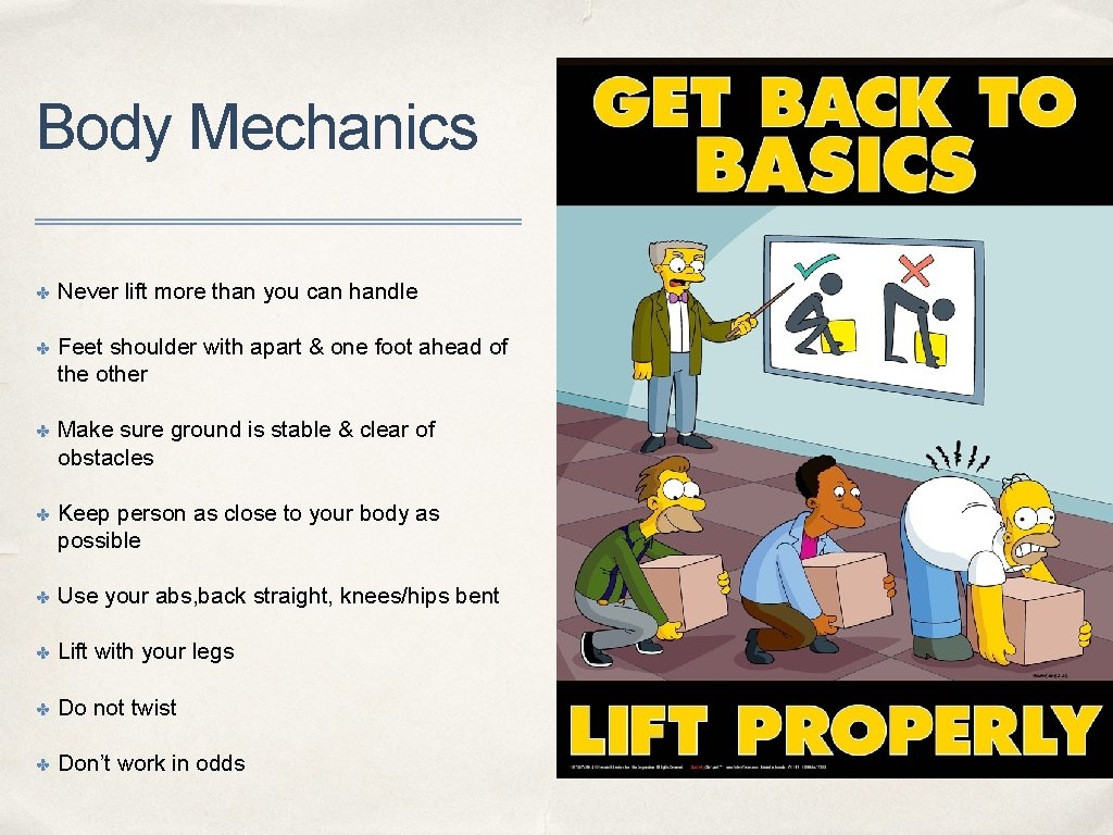 Body Mechanics ✤ Never lift more than you can handle ✤ Feet shoulder with