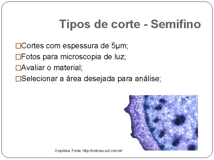 Tipos de corte - Semifino �Cortes com espessura de 5µm; �Fotos para microscopia de