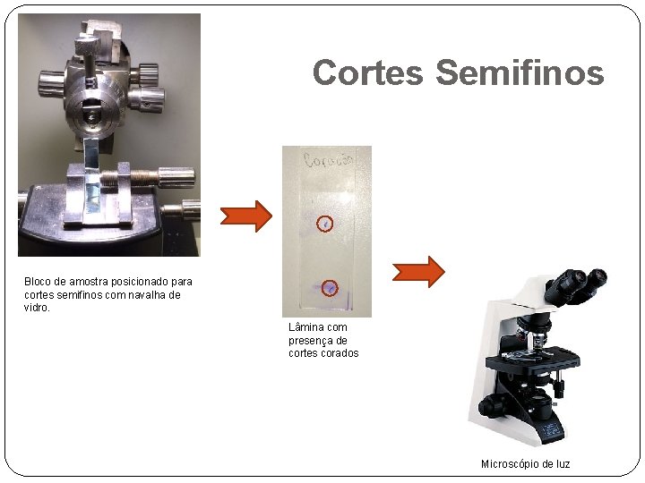 Cortes Semifinos Bloco de amostra posicionado para cortes semifinos com navalha de vidro. Lâmina