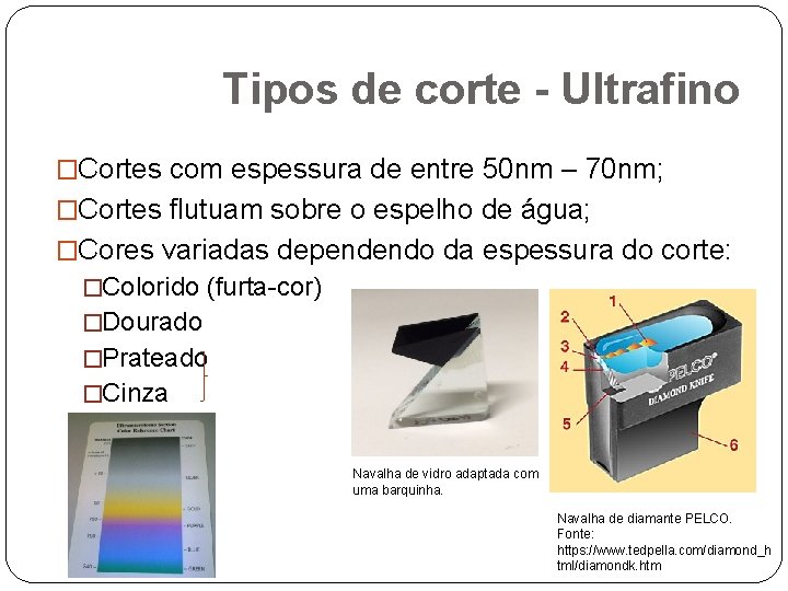 Tipos de corte - Ultrafino �Cortes com espessura de entre 50 nm – 70