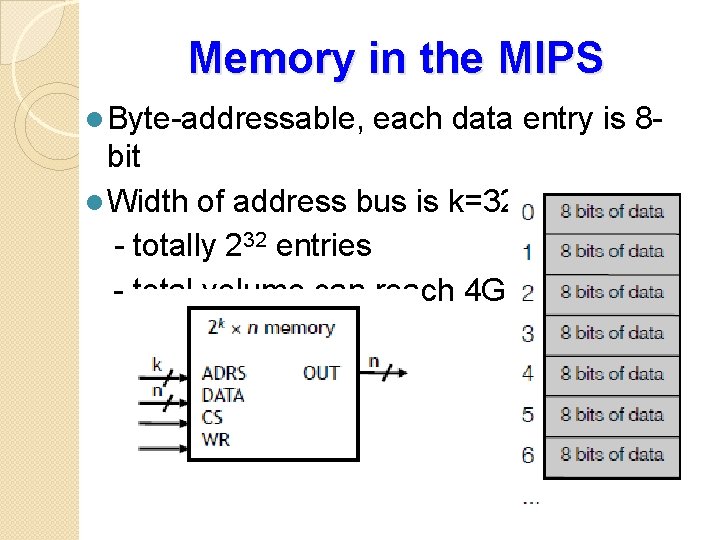 Memory in the MIPS l Byte-addressable, each data entry is 8 - bit l