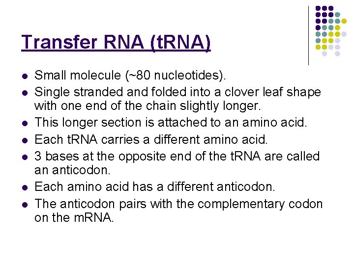 Transfer RNA (t. RNA) l l l l Small molecule (~80 nucleotides). Single stranded