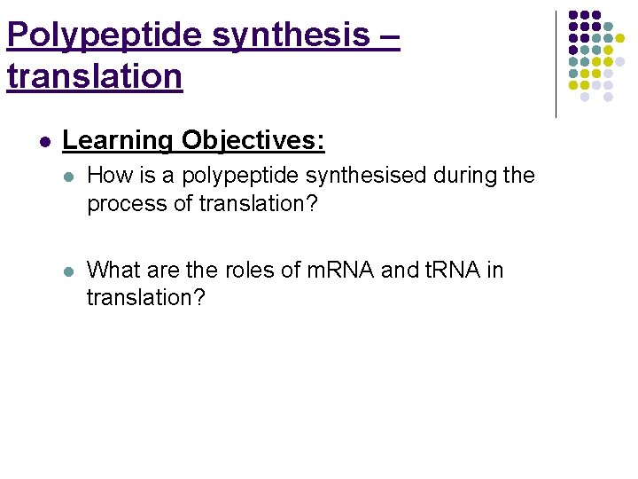 Polypeptide synthesis – translation l Learning Objectives: l How is a polypeptide synthesised during