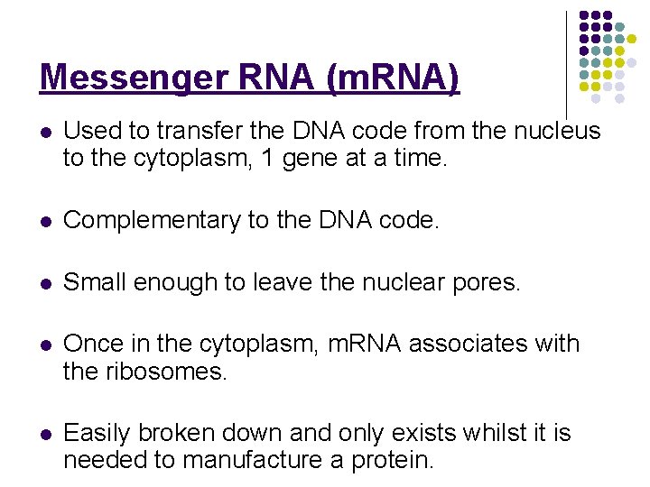 Messenger RNA (m. RNA) l Used to transfer the DNA code from the nucleus