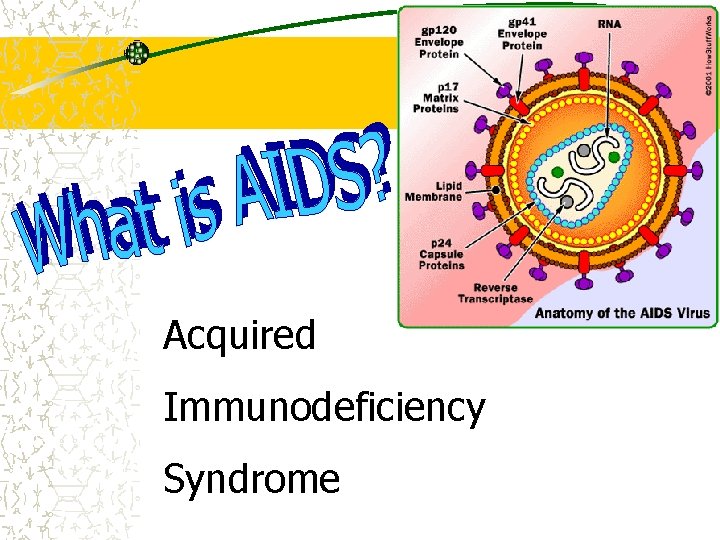Acquired Immunodeficiency Syndrome 