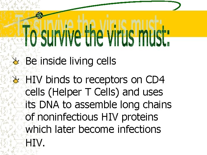 Be inside living cells HIV binds to receptors on CD 4 cells (Helper T