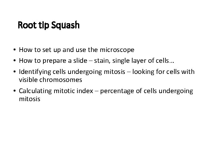 Root tip Squash • How to set up and use the microscope • How