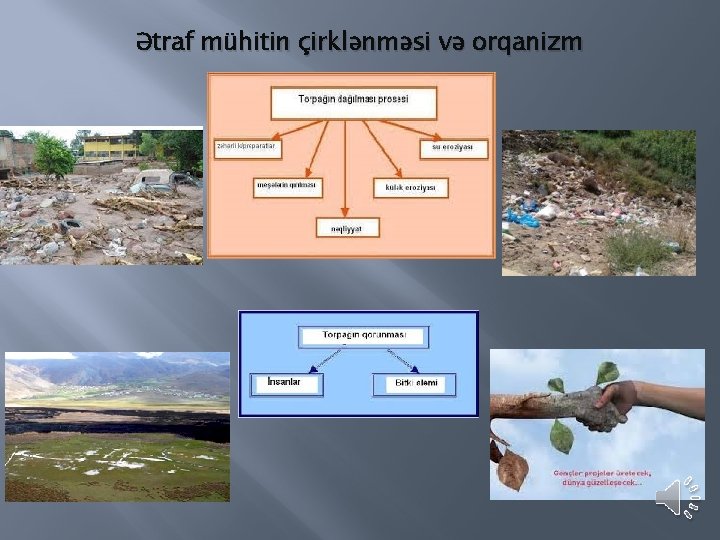 Ətraf mühitin çirklənməsi və orqanizm 