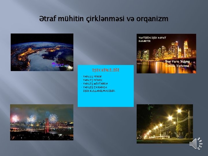 Ətraf mühitin çirklənməsi və orqanizm 