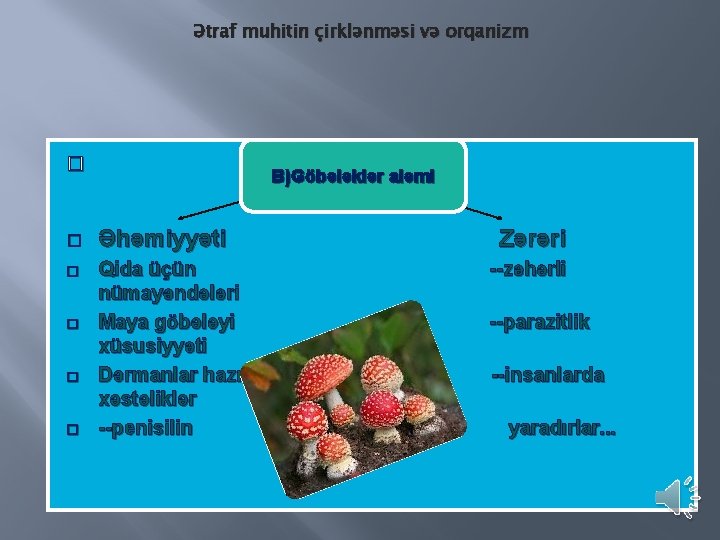 Ətraf muhitin çirklənməsi və orqanizm � � � B)Göbələklər aləmi Əhəmiyyəti Qida üçün nümayəndələri