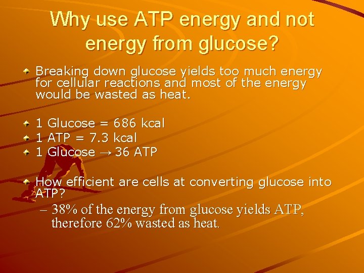 Why use ATP energy and not energy from glucose? Breaking down glucose yields too