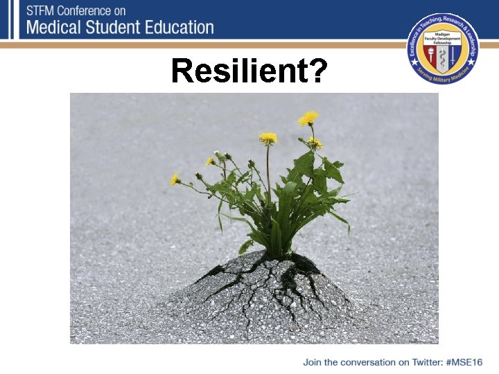 Resilient? 