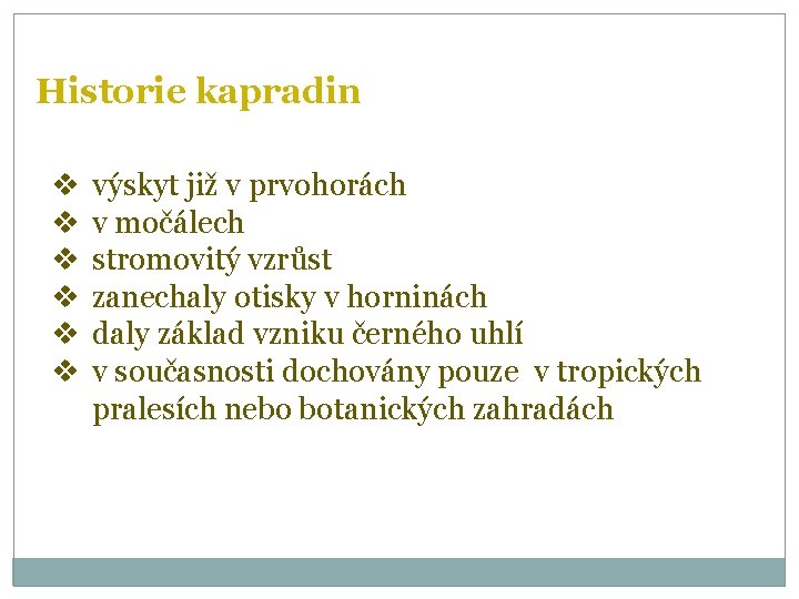 Historie kapradin v v v výskyt již v prvohorách v močálech stromovitý vzrůst zanechaly