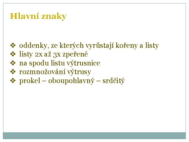 Hlavní znaky v v v oddenky, ze kterých vyrůstají kořeny a listy 2 x