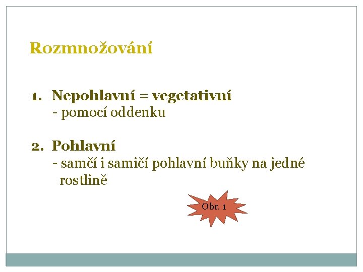 Rozmnožování 1. Nepohlavní = vegetativní - pomocí oddenku 2. Pohlavní - samčí i samičí