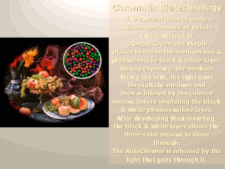 Chromatic Biotechnology The concept aims at using a microscopic mosaic of potato starch colored