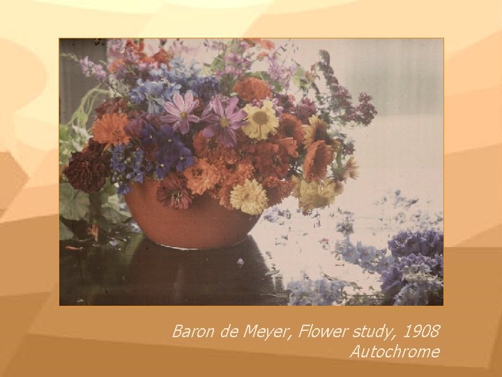 Baron de Meyer, Flower study, 1908 Autochrome 