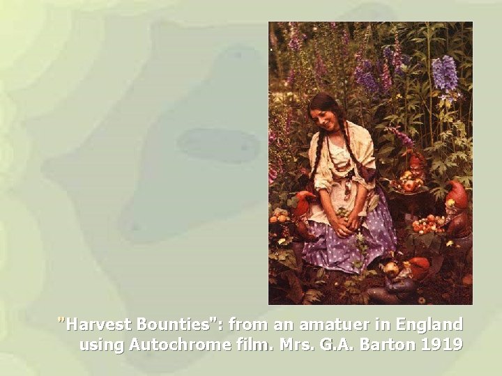 "Harvest Bounties": from an amatuer in England using Autochrome film. Mrs. G. A. Barton