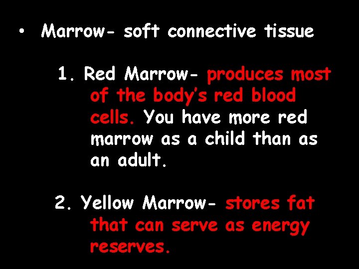  • Marrow- soft connective tissue 1. Red Marrow- produces most of the body’s
