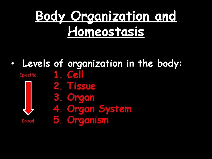 Body Organization and Homeostasis • Levels of Specific 1. 2. 3. 4. Broad 5.