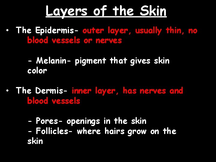 Layers of the Skin • The Epidermis- outer layer, usually thin, no blood vessels
