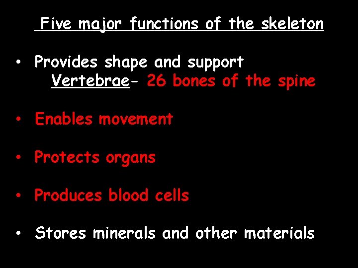 Five major functions of the skeleton • Provides shape and support Vertebrae- 26 bones