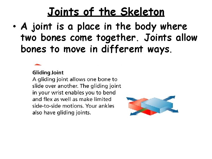 - The Skeletal System Joints of the Skeleton • A joint is a place