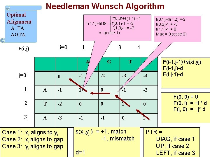 Needleman Wunsch Algorithm Optimal Alignment f(0, 0)+s(1, 1) =1 F(1, 1)=max f(0, 1)-1 = Needleman Wunsch Algorithm Optimal Alignment f(0, 0)+s(1, 1) =1 F(1, 1)=max f(0, 1)-1 =