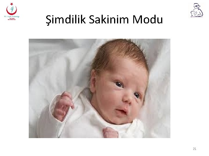 Şimdilik Sakinim Modu 21 