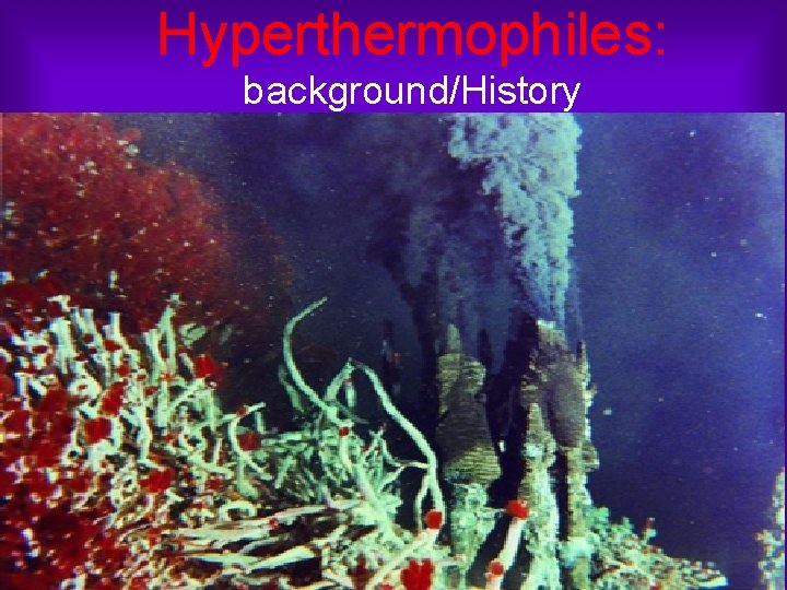 Hyperthermophiles: background/History 