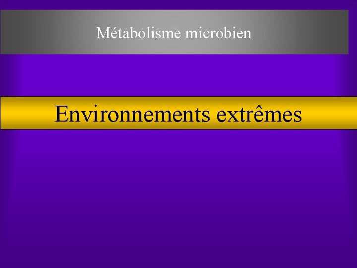 Métabolisme microbien Environnements extrêmes 