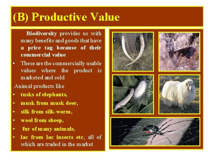 (B) Productive Value Biodiversity provides us with many benefits and goods that have a