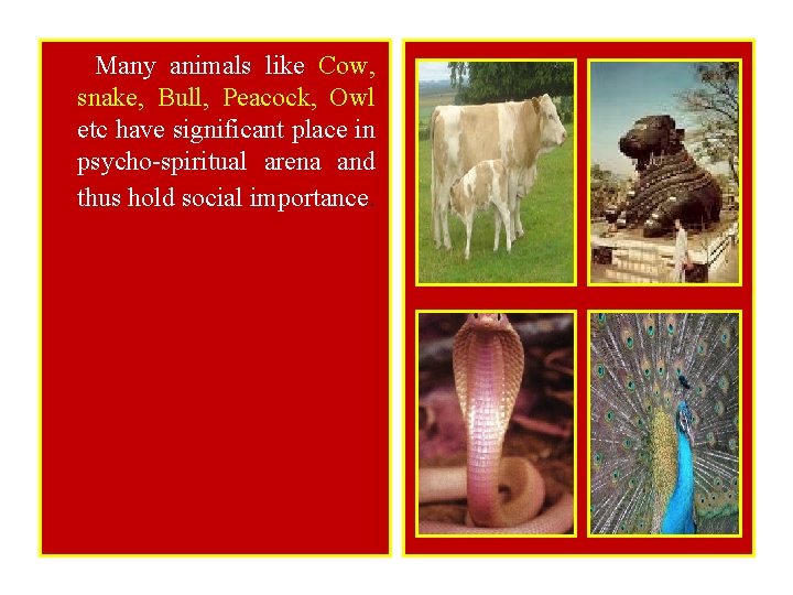 Many animals like Cow, snake, Bull, Peacock, Owl etc have significant place in psycho-spiritual