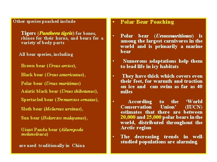 Other species poached include Tigers (Panthera tigris) for bones, rhinos for their horns, and