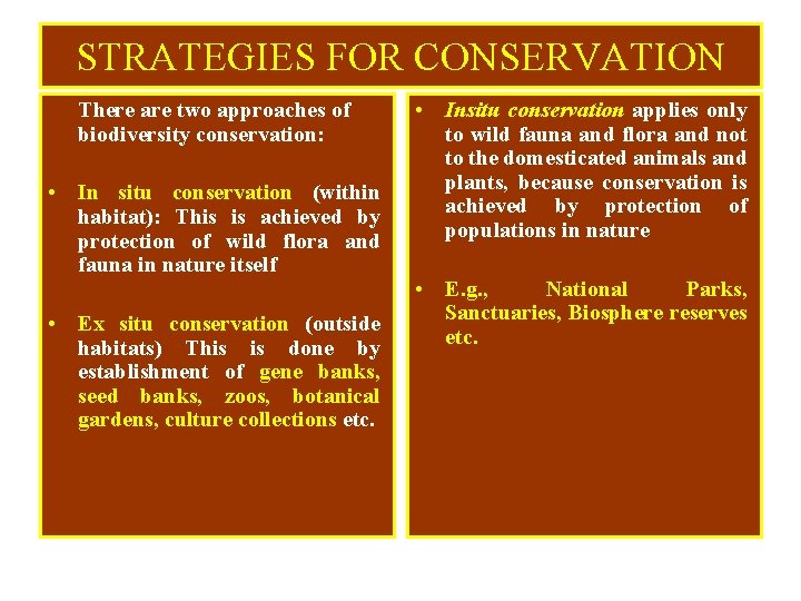 STRATEGIES FOR CONSERVATION There are two approaches of biodiversity conservation: • In situ conservation