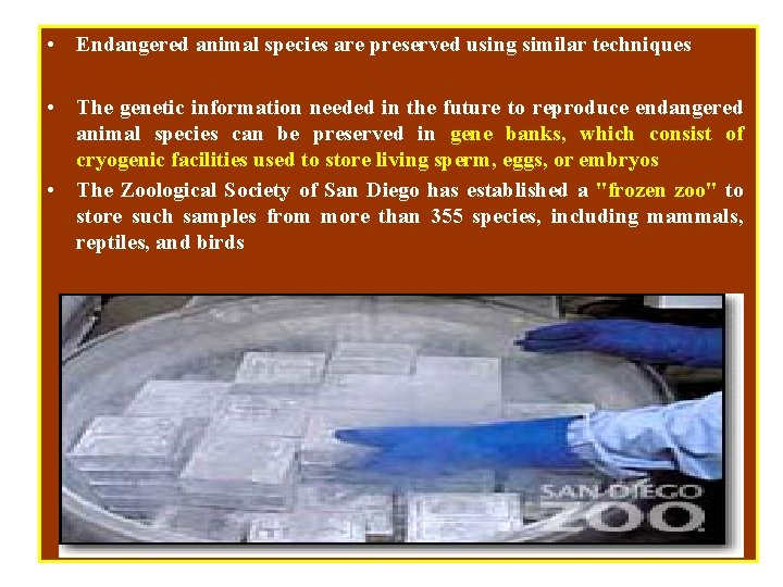  • Endangered animal species are preserved using similar techniques • The genetic information