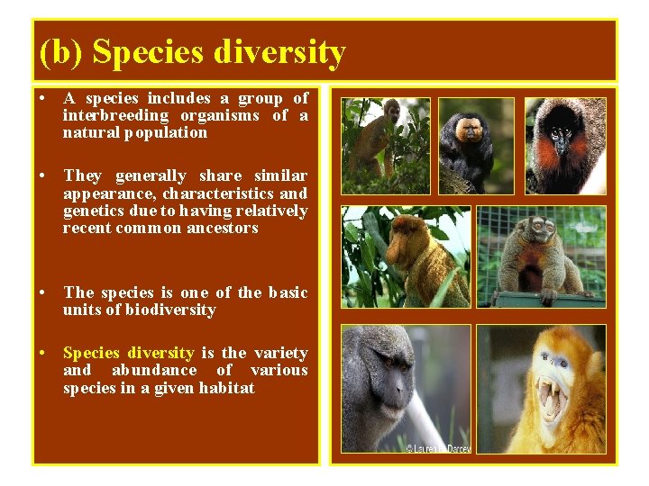 (b) Species diversity • A species includes a group of interbreeding organisms of a