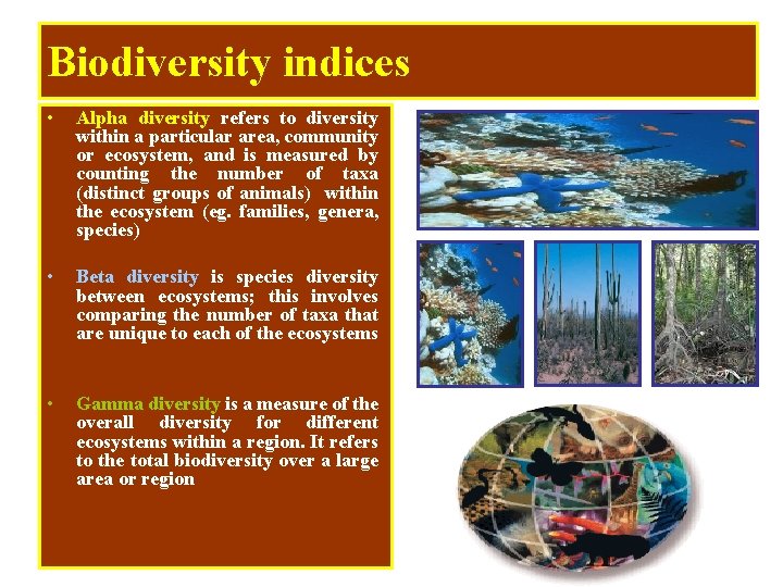 Biodiversity indices • Alpha diversity refers to diversity within a particular area, community or